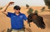 Drones Used in Training and Understanding Falcons