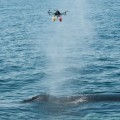 CNN Interviews DJI About The Future Of Drone Technology
