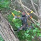 Drone in a tree