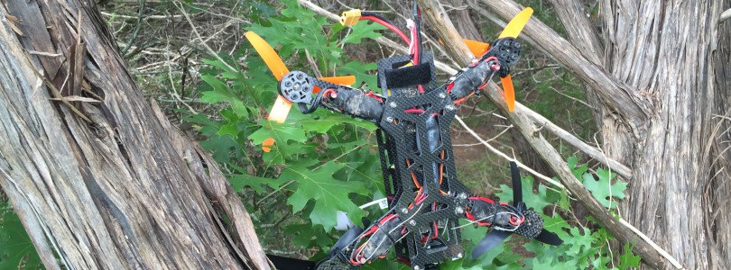 Drone in a tree