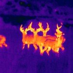 Thermal Imaging Comes To 3DR Solo