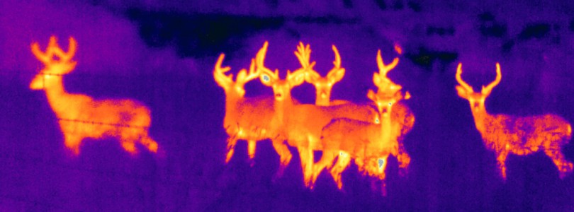 Infrared Images