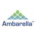 Ambarella Logo 2